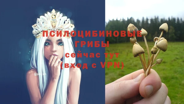 гашиш Белокуриха