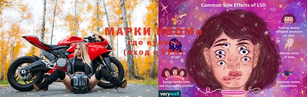 ПСИЛОЦИБИНОВЫЕ ГРИБЫ Белоозёрский